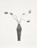 David Hockney, Tulips (S.A.C. 158, M.C.A.T. 142), 1973, Etching and aquatint, on German mould-made Museum Board, with full margins