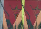 Andy Warhol, Torso (Double) (F. & S. 35), circa 1982, Unique screenprint in colours, on Saunders Waterford (Hot Pressed) paper, the full sheet