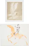 Elisabeth Frink, C.A.S. Horse and Rider; and Tawny Owl, from Six Owls (W. 49; 121), 1971; and 1977, Two prints: one lithograph in colours, on TH Saunders paper, the full sheet, and one etching and aquatint in colours, on BFK Rives paper, with full margins