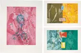 David Salle, Canfield Hatfield Suite, 1989, The complete set of nine aquatints with photo-etching in colours, on Somerset paper, with full margins