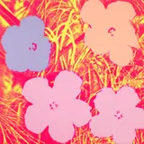 Andy Warhol, Flowers (F. & S. 69), 1970, Screenprint in colours, on wove paper, the full sheet