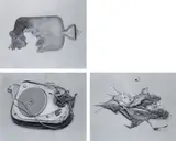 Cornelia Parker, Cold Dark Matter: An Exploded View. A Work in Progress, 2016, The complete set of three archival pigment prints, on Hahnemühle paper, the full sheets