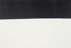 Field by Antony Gormley, 2007, Lithograph in colours, on Arches paper, the full sheet, sold Jan 2022