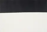 Antony Gormley, Field, 2007, Lithograph in colours, on Arches paper, the full sheet