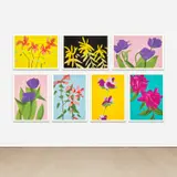 Alex Katz, Flowers, 2021, The complete set of seven archival pigment prints in colours, on Innova Etching Cotton Rag paper, the full sheets