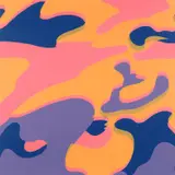 Camouflage (F. & S. 410) by Andy Warhol, 1987, Screenprint in colours, on Lenox Museum Board, the full sheet, sold Jun 2022