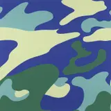 Camouflage (F. & S. 411) by Andy Warhol, 1987, Screenprint in colours, on Lenox Museum Board, the full sheet, sold Jun 2022