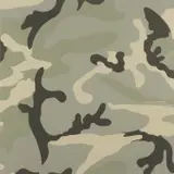 Camouflage by Andy Warhol, 1987, The complete set of eight screenprints in colours (some fluorescent), on Lenox Museum Board, the full sheets,, sold Jun 2022