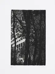 Peter Doig, Concrete Cabin, from Ten Etchings, 1996, Etching and aquatint, on Zerkall paper, with full margins