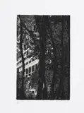 Peter Doig, Concrete Cabin, from Ten Etchings, 1996, Etching and aquatint, on Zerkall paper, with full margins