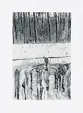 Peter Doig, Blotter, from Ten Etchings, 1996, Etching and aquatint, on Zerkall paper, with full margins