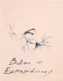 Tracey Emin, Believe In Extraordinary, 2015, Lithograph in colours, on Somerset paper, the full sheet
