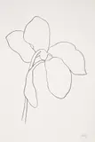 Cyclamen III, from Suite of Plant Lithographs (A. 38) by Ellsworth Kelly, 1964-65, Lithograph, on BFK Rives paper, with full margins, sold Jun 2022