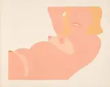 Tom Wesselmann, Great American Nude Cut Out