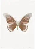 The Souls IV - Chocolate/Silver Gloss/Leaf Green by Damien Hirst, 2010, Foil block print in colours, on Arches 88 archival paper, with full margins, sold Jun 2022
