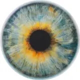 Marc Quinn, Chromosphere, 2018, Pigment print in colours with screenprinted varnish, on Somerset Satin paper mounted to board (as issued), the full sheet