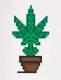 Invader, Hollyweed (Brown Pot), 2018, Screenprint in colours with embossing, on wove paper, with full margins