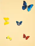 All You Need is Love by Damien Hirst, 2008, Screenprint in colours with diamond dust, on wove paper, the full sheet, sold Sep 2022