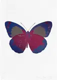 The Souls II - Loganberry Pink/Cornflower Blue/Silver Gloss by Damien Hirst, 2010, Foil block print in colours, on Arches 88 archival paper, with full margins, sold Sep 2022