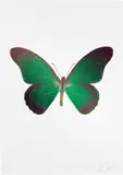 The Souls IV - Emerald Green/Burgundy/Cool Gold by Damien Hirst, 2010, Foil block print in colours, on Arches 88 archival paper, with full margins, sold Sep 2022