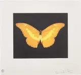 To Love by Damien Hirst, 2008, Etching in colours, on wove paper, with full margins, sold Sep 2022
