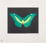 To Believe by Damien Hirst, 2008, Etching in colours, on wove paper, with full margins, sold Sep 2022