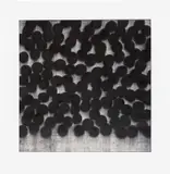 Mark Francis, Untitled