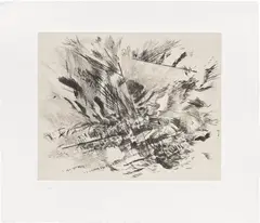 Untitled (Grey Area) by Julie Mehretu, 2009, Drypoint, with Chine-collé to Somerset paper, with full margins, contained in the original charcoal card folder with pri, sold Sep 2022