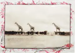 Peter Beard, Giraffes in mirage on the Taru desert, Kenya, June, 1960, Unique work, comprising a toned gelatin silver print with ink and paint, executed later