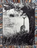 Peter Beard, Female Gerenuk on the Tiva, Tsavo North, near Kathamula (before the die-off) February, 1965, Unique work, comprising a gelatin silver print with ink and paint, executed later