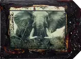 Peter Beard, Large tusker (c. 150 lbs per side), Tsavo North, near hunting block 33/ Ithumber Hill on the Athi-Tiva dry river, February, 1965, Unique Polaroid print with blood and ink, executed later