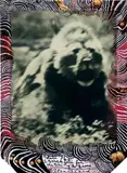 Peter Beard, Ndutu, S. Serengeti for The End of the Game, 1976, Unique Polaroid print with ink and paint, executed later