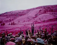 La Vie en Rose by Richard Mosse, 2010, Chromogenic print, mounted, sold May 2022