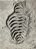 Ana Mendieta, Untitled from Sandwoman