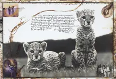 Peter Beard, Orphaned cheetah cubs @ Mweiga nr. Nyeri (KENYA) for The End of the Game / Last word from Paradise, 1968, Unique work, comprising a gelatin silver print with ink, blood, grass and affixed gelatin silver prints, executed later