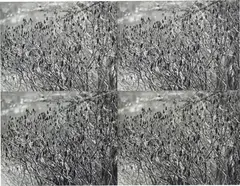Untitled (Meadow) by Andy Warhol, 1987, Unique collage of four gelatin silver prints, stitched with thread, sold May 2022