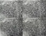 Untitled (Meadow) by Andy Warhol, 1987, Unique collage of four gelatin silver prints, stitched with thread, sold May 2022