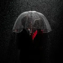 Tyler Shields, Under the Rain, 2018, Chromogenic print, mounted