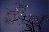 Vitral by Gabriel Orozco, 1998, Dye destruction print, sold May 2022