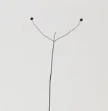 Harry Callahan, Weed Against The Sky, Detroit