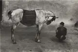 Josef Koudelka, Romania