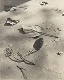 Ilse Bing, Leaves and Twigs, Paris