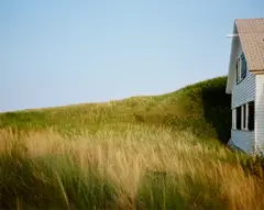 Joel Meyerowitz, Dune Grass House, Truro, Massachusetts, 1984, Archival pigment print, printed later, mounted