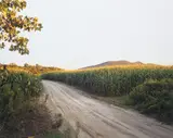 Joel Sternfeld, The East Meadows, Northampton, Massachusetts