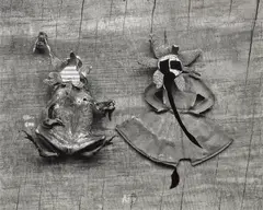 Frederick Sommer, Frog and Flower, 1947-1948, Gelatin silver print, mounted