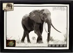 Peter Beard, Last of the "100 lbers" (100 lbs ivory/side), 1965, Unique work, comprising a gelatin silver print with ink, affixed Polaroid with blood and gelatin silver contact prints; accompanying gelatin silver print tucked into the frame, executed later