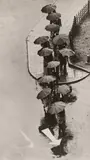 André Kertész, Rainy Day, Tokyo