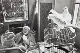 Henri Cartier-Bresson, Henri Matisse, Vence