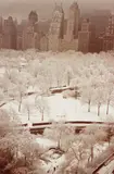 White Trees, Central Park South by Ruth Orkin, 1958, Chromogenic print, printed 1978, sold Nov 2022