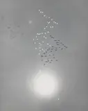 William Garnett, Snow Geese with Reflection of the Sun over Buena Vista Lake, California, 1953, Gelatin silver print, mounted, printed later